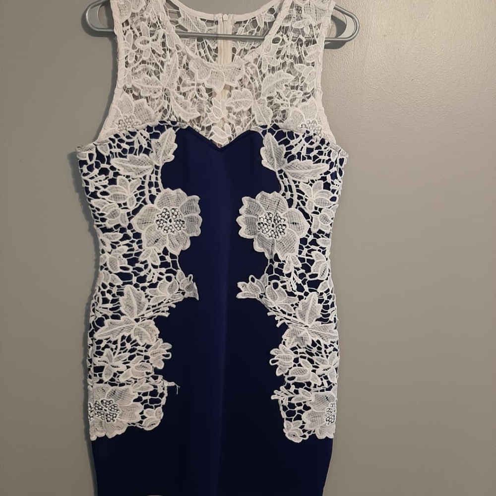 Sleeveless Lace Bodycon Dress